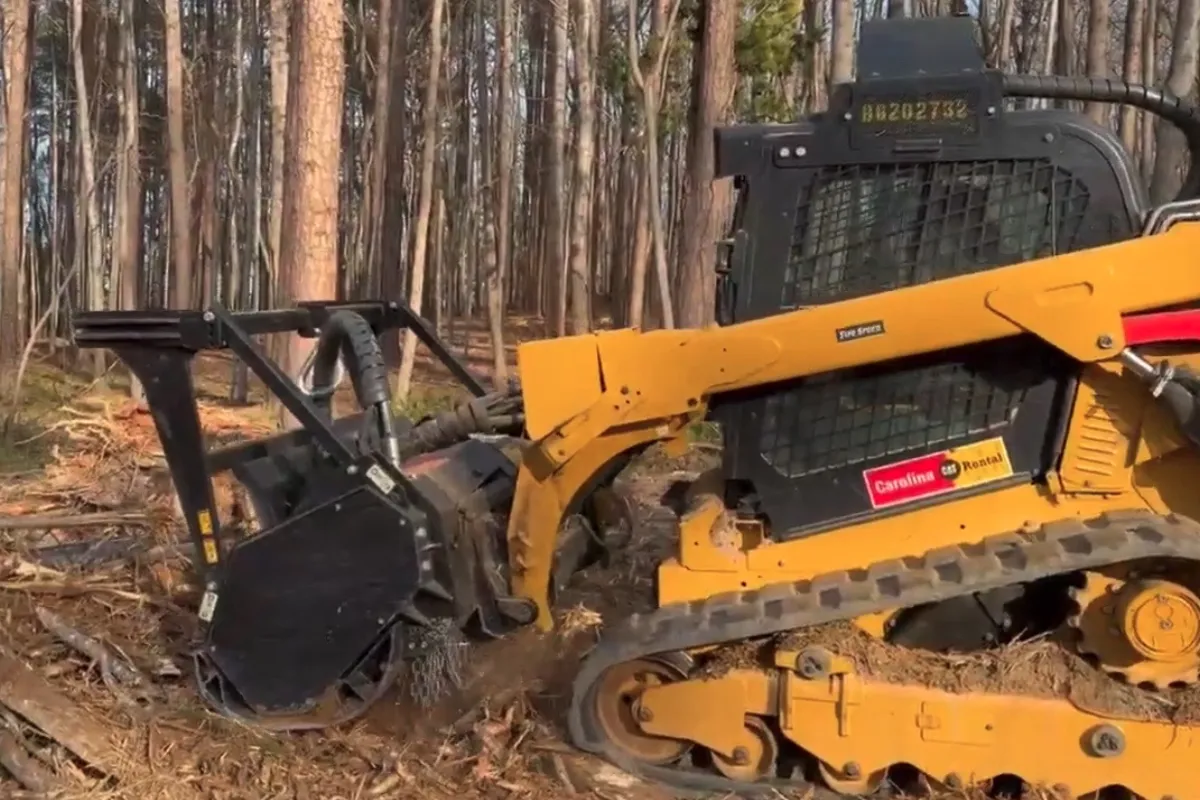 Forestry Mulching in Rock Hill and Surrounding Areas